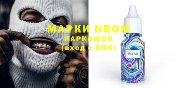 дживик Няндома