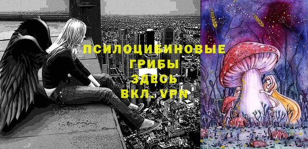дживик Няндома