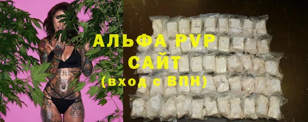 дживик Няндома
