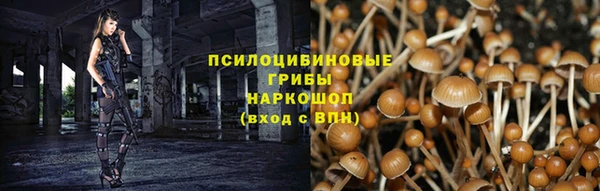 дживик Няндома