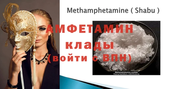 дживик Няндома