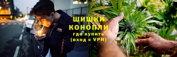 дживик Няндома