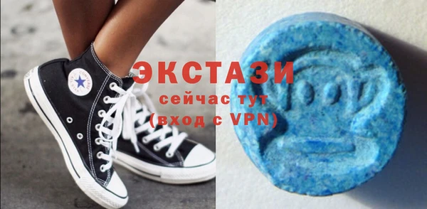 дживик Няндома