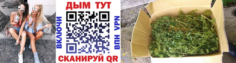 Конопля семена  Купить где  Полтавская 
